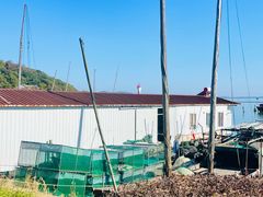 -苏州太湖湖滨国家湿地公园