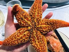 -悦港(悦港酒店)