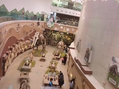 -陕西自然博物馆