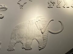 -甘肃地质博物馆