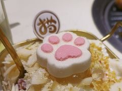 -猫爪爪原切自助烤肉(观音桥阳光世纪店)