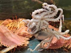 -龙宴海鲜城(经中路店)