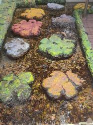 -钓虾工场·钓虾·赶海(回龙观店)