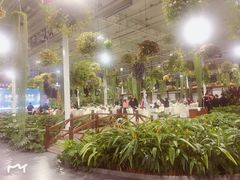 -上海鲜花港