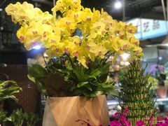 -双季花艺园艺市场(浦东店)
