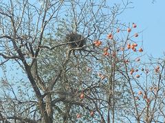-碓臼峪自然风景区