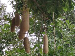 -人民公园(罗湖区)