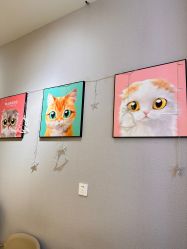 -洗脸猫·洗脸吧