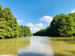 -上海海湾国家森林公园