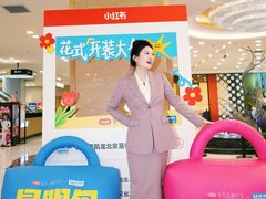 -红星美凯龙北京至尊MALL(东四环中路店)