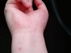 -猫色咖啡·猫咖