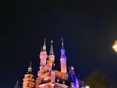 -上海迪士尼度假区