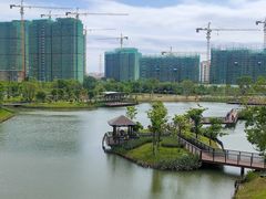 景点-王借岗森林公园