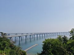 -星海湾跨海大桥