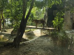-成都动物园