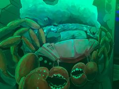 -蛮横肉蟹煲(印象城店)