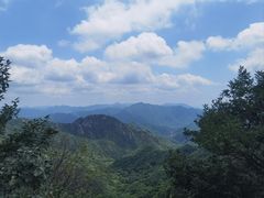 -大岭沟猕猴桃谷风景区