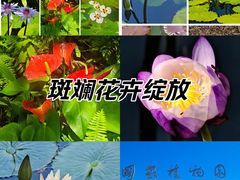 -国家植物园南园