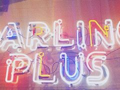 -Darling Queen·Mini·Live·House