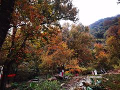 -广州市石门国家森林公园