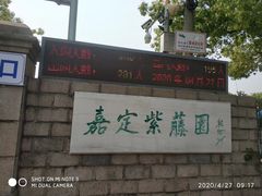-嘉定紫藤园