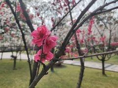 -西南政法大学(渝北校区)