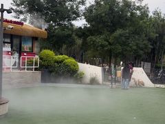 -爪吧宠物乐园 (温榆河示范区店)