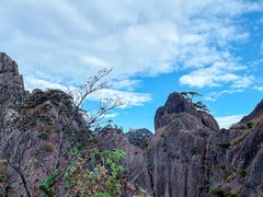 -黄山风景区