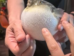 -肆月河豚·淮扬菜·湘菜(华天店)