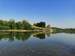 -东郊湿地公园