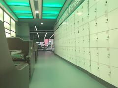 -金吉鸟健身游泳