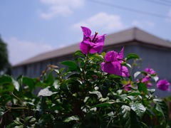 -火火咖啡&茶空间