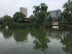 -西苑公园