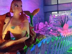 -世界之窗阿尔卑斯冰雪世界
