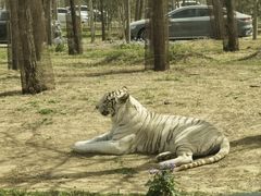 -秦皇岛野生动物园