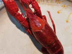 -指爱龙虾(金杨路总店)