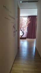 -诗丽华黛美容院