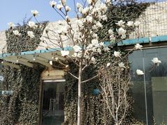 -河北省园博园