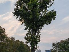 -阳光粮品Sunflour(华科店)