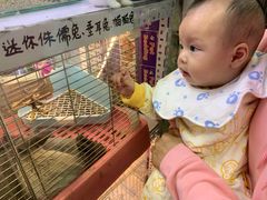 -花鸟鱼虫鲜花绿植市场(玉泉路店)