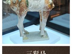 -衢州市博物馆