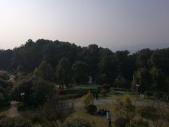 -铁山坪森林公园