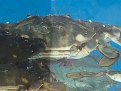 -海之味海鲜大咖·家常菜