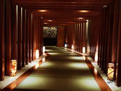 -重庆南山海昌汤都
