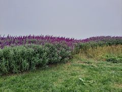 -汉长安城未央宫国家考古遗址公园