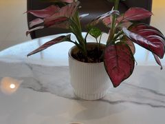 -上海和展广汽丰田4S店(老闵行店)