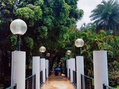 -九龙公园