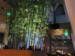 -上海柏悦酒店·世纪100牛排馆