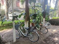 -厦门大学(思明校区)