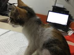 -惠康宠物医院(华能路店)